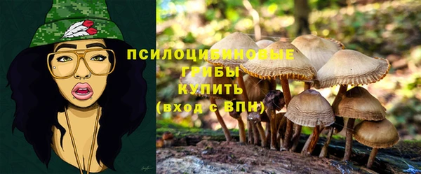 ГАЛЛЮЦИНОГЕННЫЕ ГРИБЫ Абинск